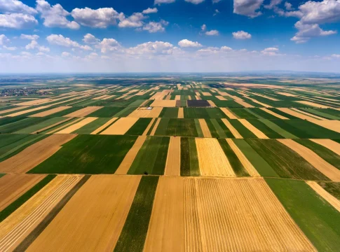 1605